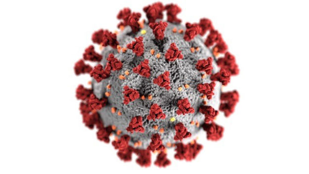 2020_Covid Virus (1)